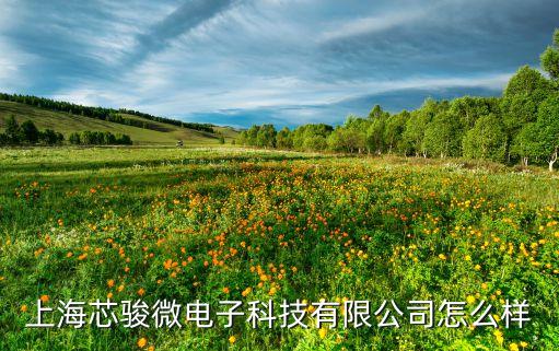 上海芯駿微電子科技有限公司怎么樣