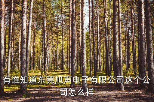 有誰知道東莞旭聲電子有限公司這個公司怎么樣
