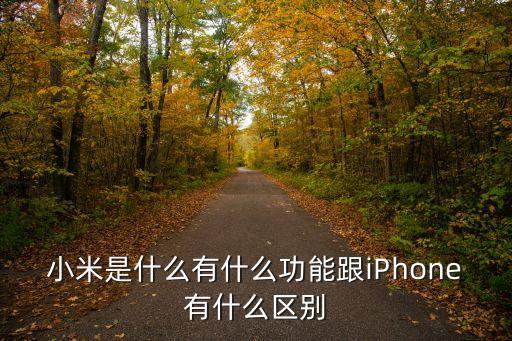 小米智能科技是干什么的，北京小米科技有現(xiàn)公司是做什么的