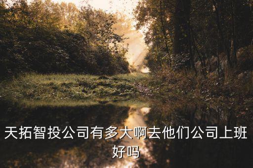 天拓智投公司有多大啊去他們公司上班好嗎