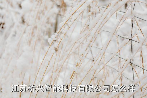 江蘇橋興智能科技有限公司怎么樣