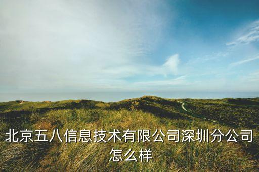 北京五八信息技術(shù)有限公司深圳分公司 怎么樣