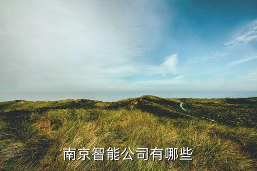 南京智能公司有哪些