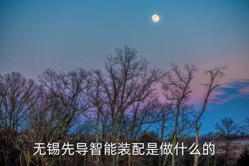 無錫先導(dǎo)智能裝配是做什么的