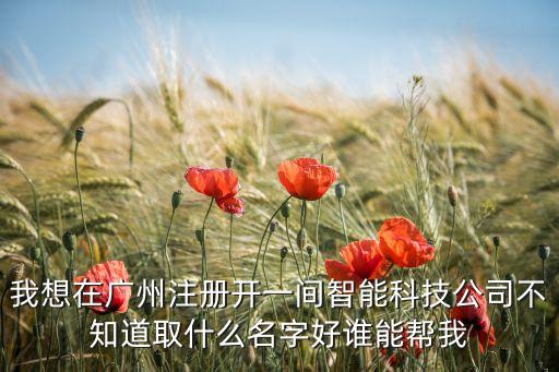 我想在廣州注冊(cè)開一間智能科技公司不知道取什么名字好誰(shuí)能幫我