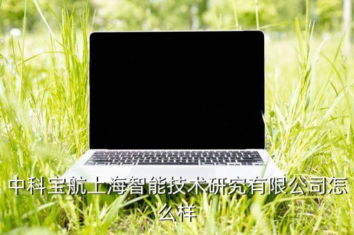 中科寶航上海智能技術(shù)研究有限公司怎么樣