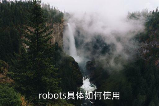 robots具體如何使用