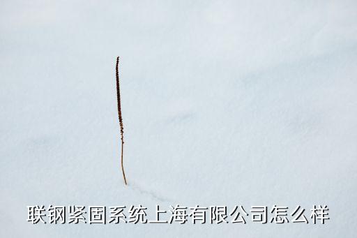 聯(lián)鋼緊固系統(tǒng)上海有限公司怎么樣
