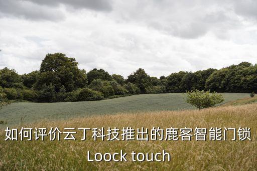 如何評價云丁科技推出的鹿客智能門鎖Loock touch