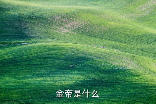 金帝是什么