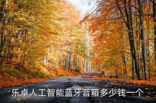 高科技智能音響多少錢，樂卓人工智能藍牙音箱多少錢一個