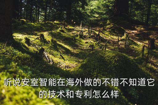 安藤智能科技怎么樣，有誰知道安得智聯(lián)技術(shù)實力怎么樣