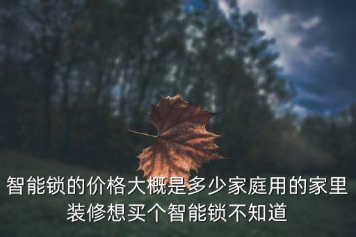 智能鎖的價(jià)格大概是多少家庭用的家里裝修想買(mǎi)個(gè)智能鎖不知道