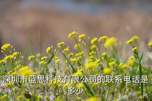 深圳市藍(lán)思科技有限公司的聯(lián)系電話是多少