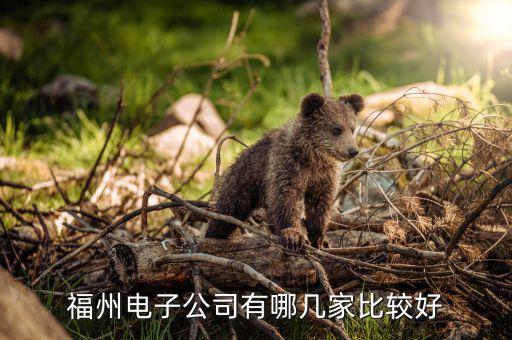 福州有哪些智能科技公司，福州電子公司有哪幾家比較好