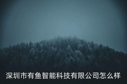 深圳市有魚智能科技有限公司怎么樣