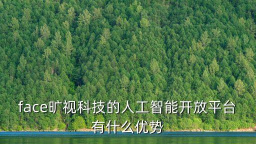 face曠視科技的人工智能開(kāi)放平臺(tái)有什么優(yōu)勢(shì)
