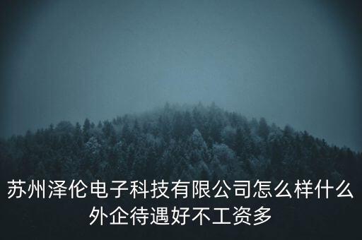 蘇州澤倫電子科技有限公司怎么樣什么外企待遇好不工資多
