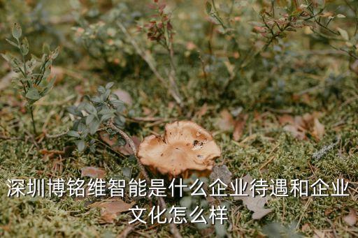 深圳博銘維智能是什么企業(yè)待遇和企業(yè)文化怎么樣