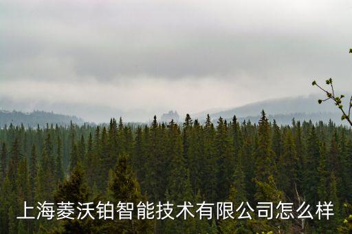 沃鐳智能科技怎么樣，格爾頓沃顯上海智能科技有限公司怎么樣