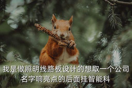 我是做照明線路板設(shè)計(jì)的想取一個(gè)公司名字響亮點(diǎn)的后面掛智能科