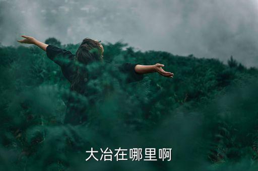 大冶在哪里啊