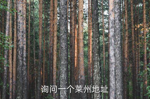 詢問一個萊州地址