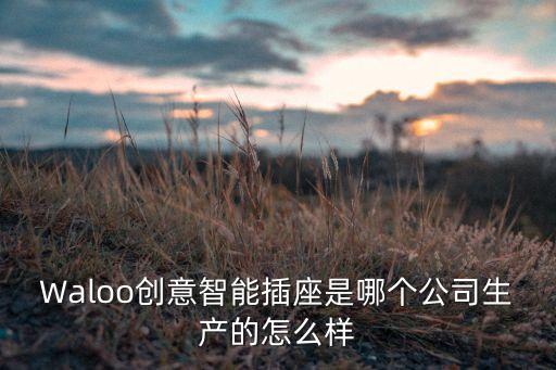 綠柏智能科技總部在哪里，ILIFE公司地址在哪里呀