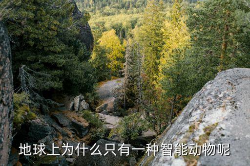 地球上為什么只有一種智能動物呢