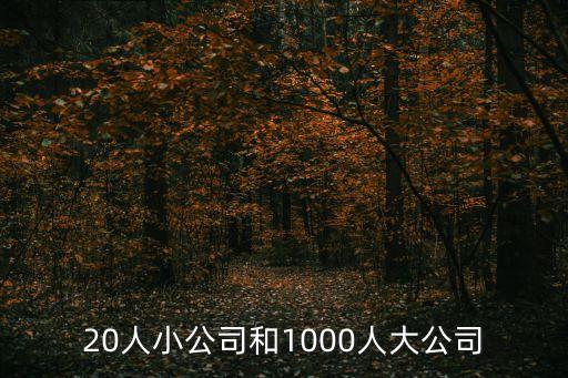 武漢仟米智能科技有多少員工，凱沃斯光電技術(shù)武漢有限公司怎么樣