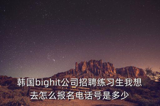 韓國bighit公司招聘練習(xí)生我想去怎么報名電話號是多少