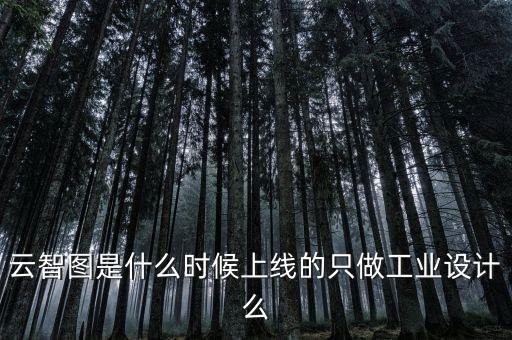 云智圖是什么時候上線的只做工業(yè)設(shè)計么