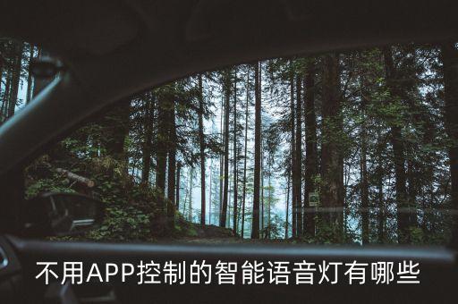 智能語音家居黑科技有哪些，興旺小愛同學的黑科技是什么