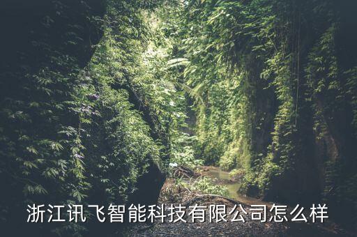 浙江訊飛智能科技有限公司怎么樣