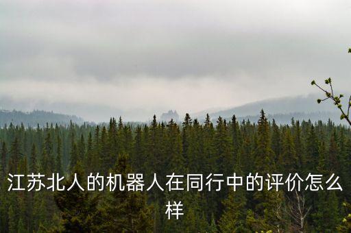 江蘇北人的機器人在同行中的評價怎么樣