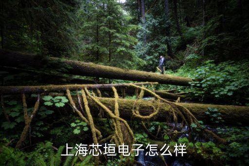 上海芯垣電子怎么樣