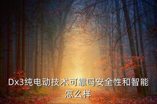 Dx3純電動(dòng)技術(shù)可靠嗎安全性和智能怎么樣