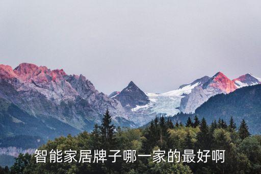 智能家居牌子哪一家的最好啊