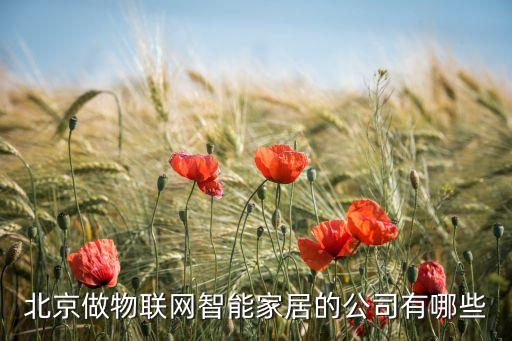 北京做物聯(lián)網(wǎng)智能家居的公司有哪些