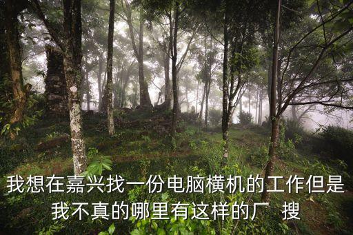 我想在嘉興找一份電腦橫機(jī)的工作但是我不真的哪里有這樣的廠  搜