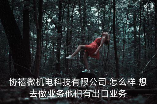 協(xié)禧微機(jī)電科技有限公司 怎么樣 想去做業(yè)務(wù)他們有出口業(yè)務(wù)