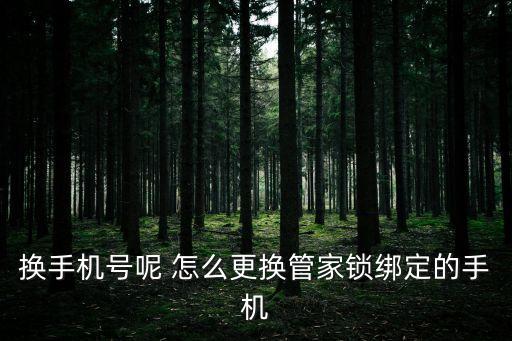 換手機號呢 怎么更換管家鎖綁定的手機