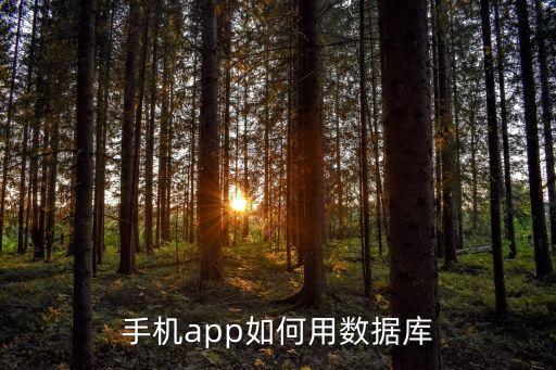 智能科技如何使用數(shù)據(jù)庫，手機app如何用數(shù)據(jù)庫