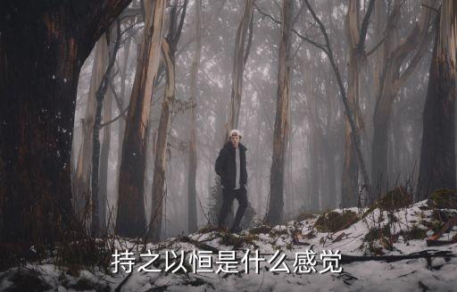 持之恒智能科技怎么樣，持之以恒是什么感覺