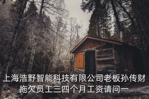 浩野智能科技怎么樣，上海浩野智能科技有限公司老板孫傳財(cái)拖欠員工三四個(gè)月工資請(qǐng)問(wèn)一
