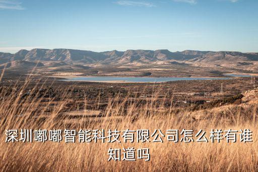 深圳嘟嘟智能科技有限公司怎么樣有誰知道嗎