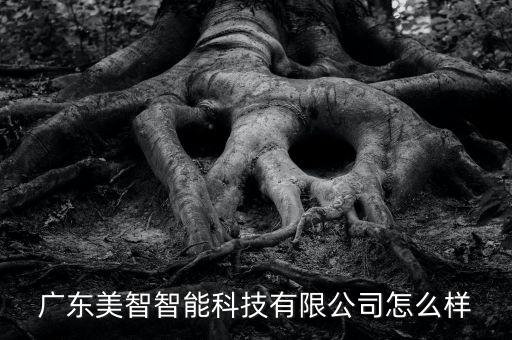 廣東美智智能科技有限公司怎么樣