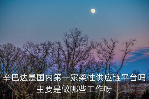 辛巴達(dá)是國內(nèi)第一家柔性供應(yīng)鏈平臺嗎主要是做哪些工作呀
