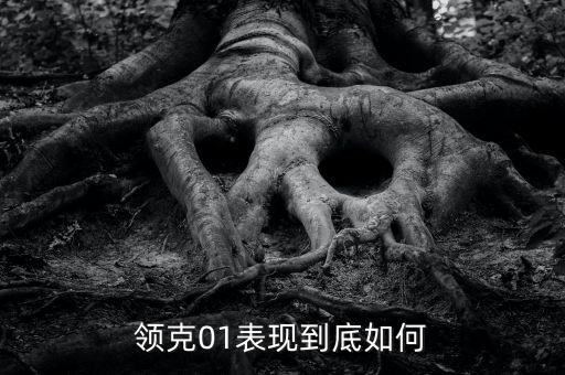領(lǐng)克01智能科技版怎么樣，領(lǐng)克01怎么樣