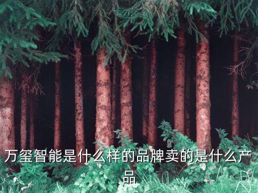 智能科技是什么品牌，萬璽智能是什么樣的品牌賣的是什么產(chǎn)品